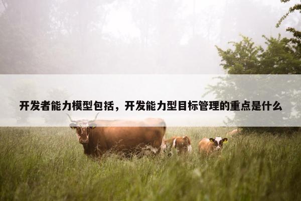 开发者能力模型包括，开发能力型目标管理的重点是什么