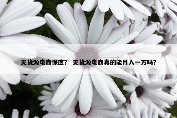 无货源电商保底？ 无货源电商真的能月入一万吗？