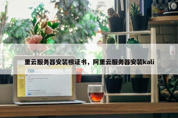 里云服务器安装根证书，阿里云服务器安装kali