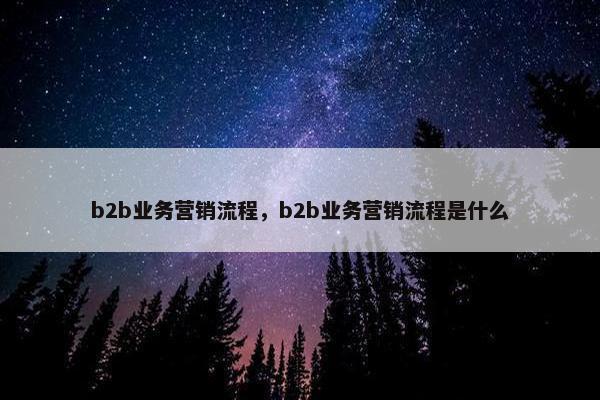b2b业务营销流程，b2b业务营销流程是什么