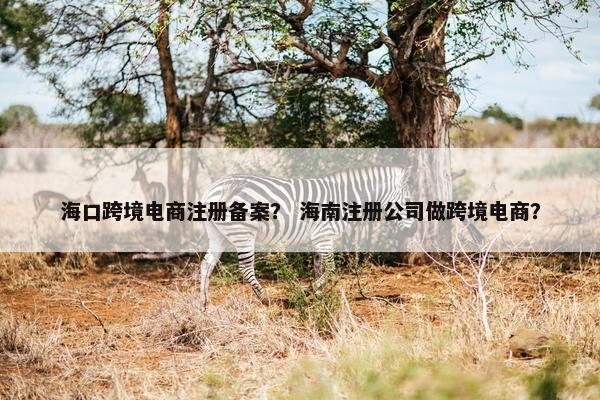 海口跨境电商注册备案？ 海南注册公司做跨境电商？