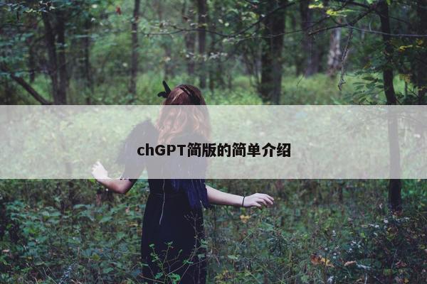 chGPT简版的简单介绍