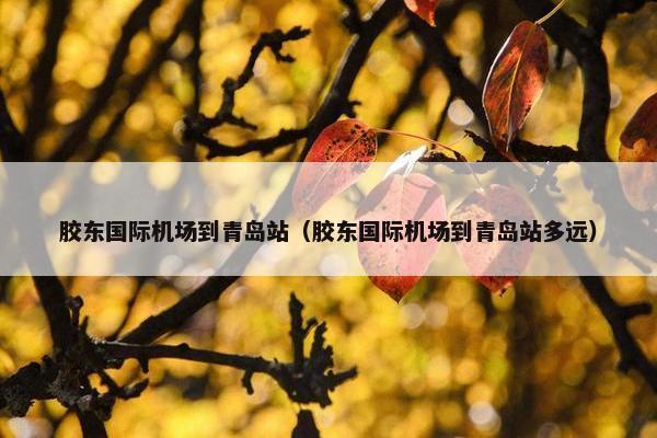 胶东国际机场到青岛站（胶东国际机场到青岛站多远）
