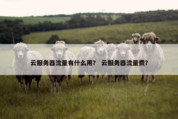 云服务器流量有什么用？ 云服务器流量费？