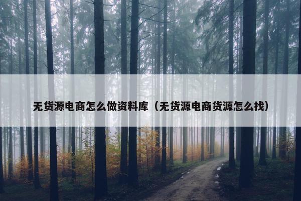 无货源电商怎么做资料库（无货源电商货源怎么找）
