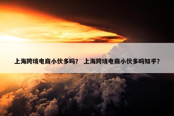 上海跨境电商小伙多吗？ 上海跨境电商小伙多吗知乎？