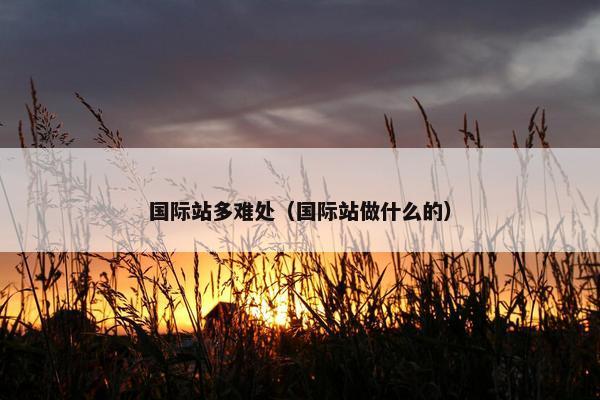 国际站多难处（国际站做什么的）