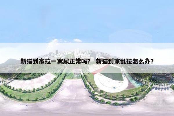 新猫到家拉一窝屎正常吗？ 新猫到家乱拉怎么办？