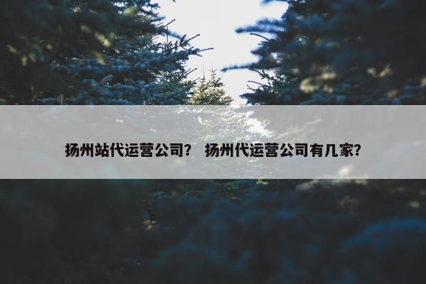 扬州站代运营公司？ 扬州代运营公司有几家？