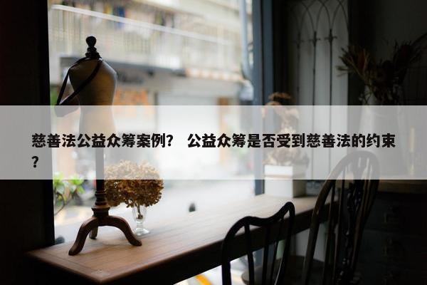 慈善法公益众筹案例？ 公益众筹是否受到慈善法的约束？