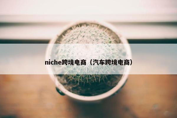 niche跨境电商（汽车跨境电商）