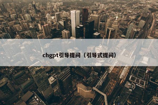chgpt引导提问（引导式提问）