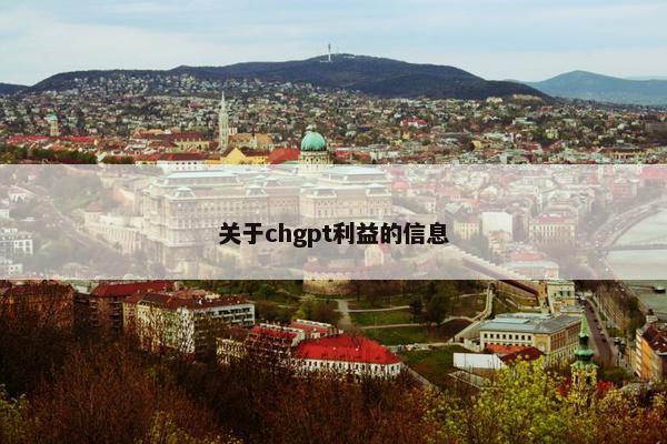 关于chgpt利益的信息