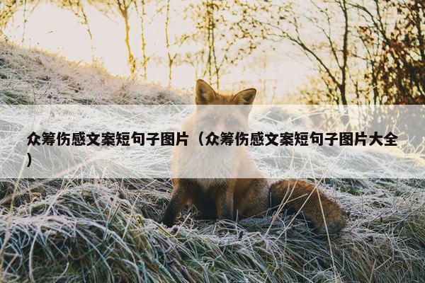 众筹伤感文案短句子图片（众筹伤感文案短句子图片大全）
