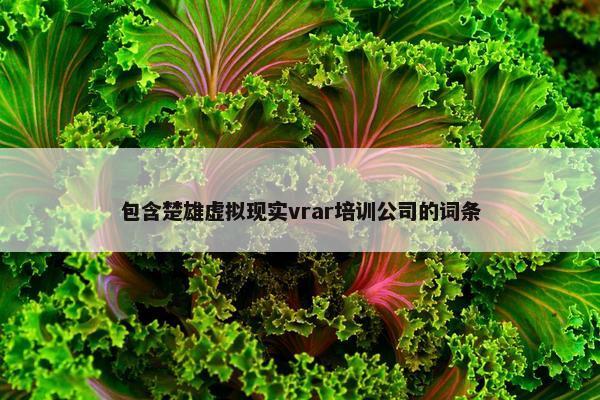 包含楚雄虚拟现实vrar培训公司的词条