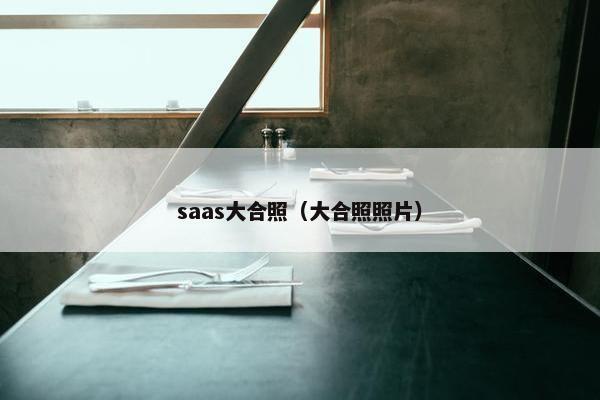 saas大合照（大合照照片）