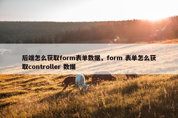后端怎么获取form表单数据，form 表单怎么获取controller 数据