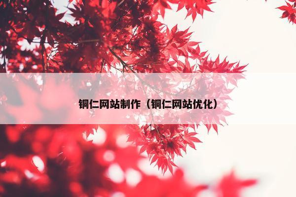 铜仁网站制作（铜仁网站优化）