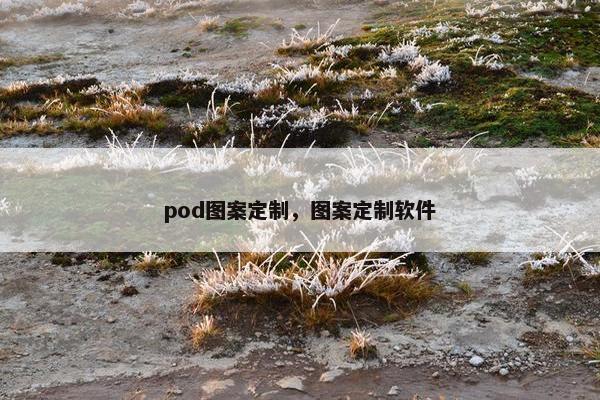 pod图案定制，图案定制软件