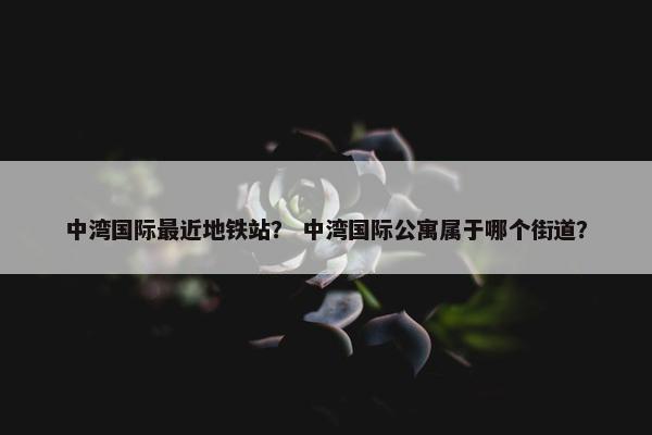 中湾国际最近地铁站？ 中湾国际公寓属于哪个街道？