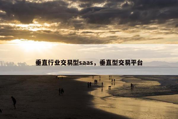 垂直行业交易型saas，垂直型交易平台