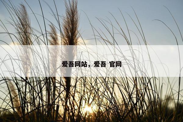 爱吾网站，爱吾 官网