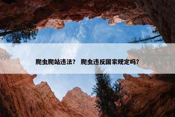 爬虫爬站违法？ 爬虫违反国家规定吗？