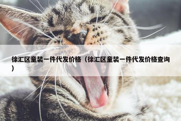 徐汇区童装一件代发价格（徐汇区童装一件代发价格查询）