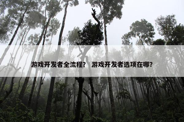 游戏开发者全流程？ 游戏开发者选项在哪？