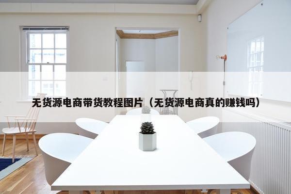 无货源电商带货教程图片（无货源电商真的赚钱吗）