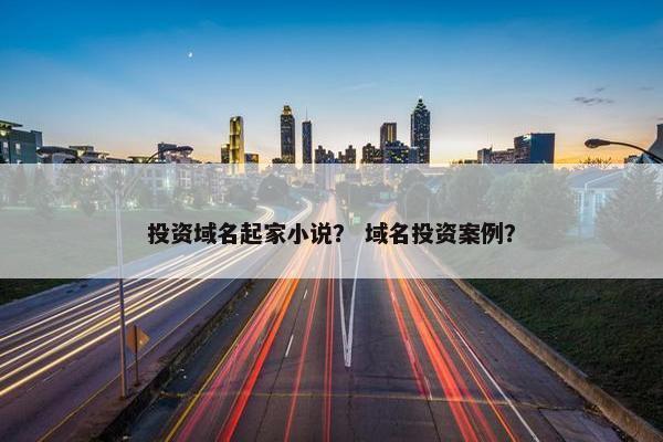 投资域名起家小说？ 域名投资案例？