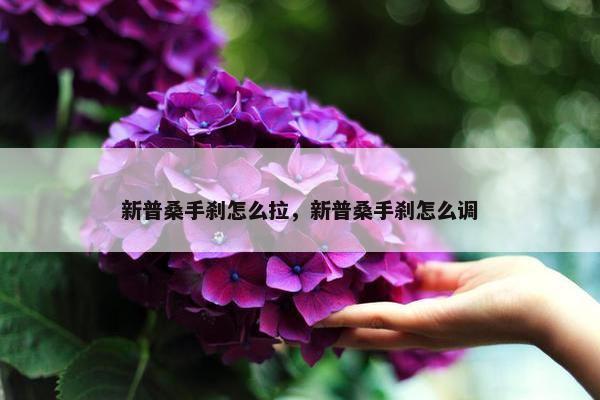 新普桑手刹怎么拉，新普桑手刹怎么调