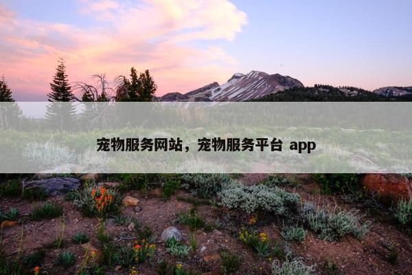 宠物服务网站，宠物服务平台 app