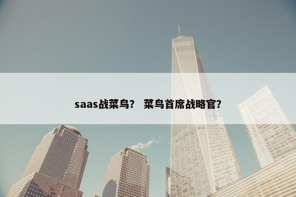 saas战菜鸟？ 菜鸟首席战略官？