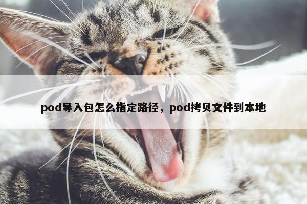 pod导入包怎么指定路径，pod拷贝文件到本地