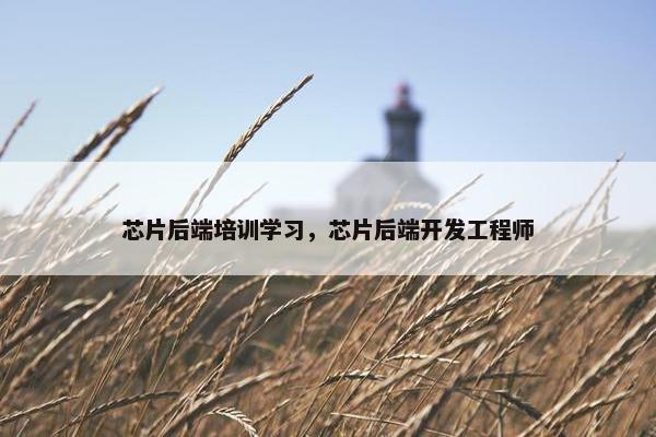 芯片后端培训学习，芯片后端开发工程师