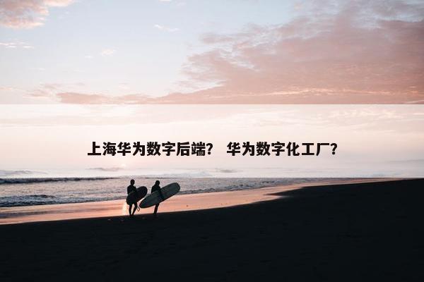 上海华为数字后端？ 华为数字化工厂？