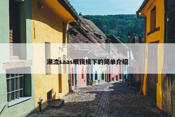 潮流saas眼镜摘下的简单介绍