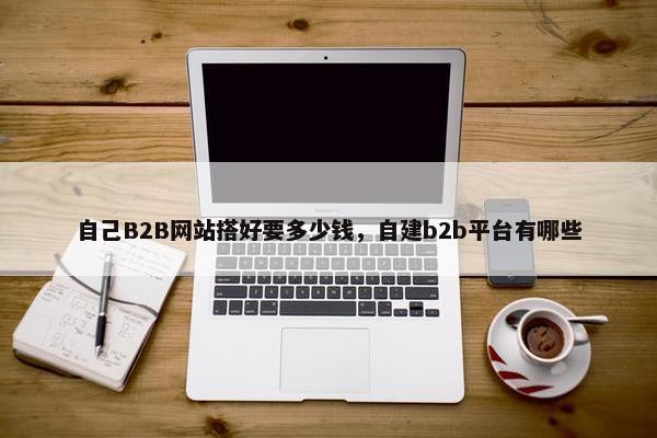 自己B2B网站搭好要多少钱，自建b2b平台有哪些