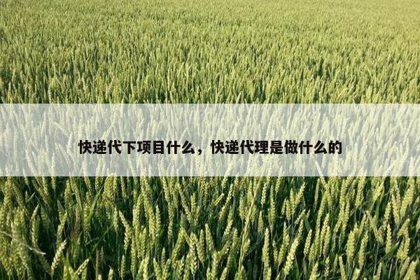 快递代下项目什么，快递代理是做什么的