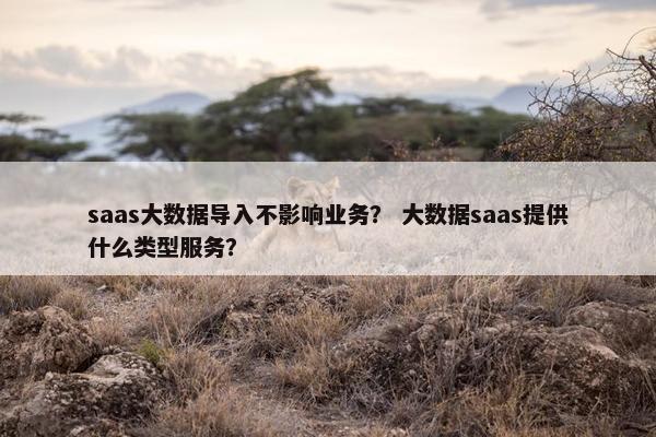 saas大数据导入不影响业务？ 大数据saas提供什么类型服务？