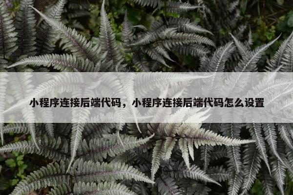 小程序连接后端代码，小程序连接后端代码怎么设置