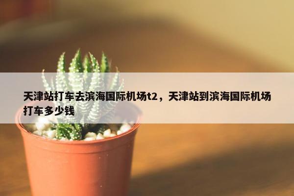天津站打车去滨海国际机场t2，天津站到滨海国际机场打车多少钱