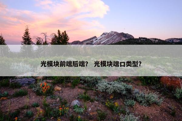 光模块前端后端？ 光模块端口类型？