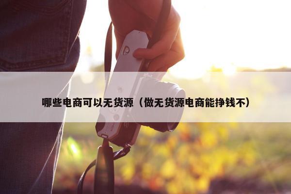 哪些电商可以无货源（做无货源电商能挣钱不）
