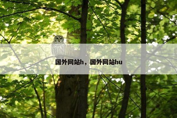 国外网站h，国外网站hu
