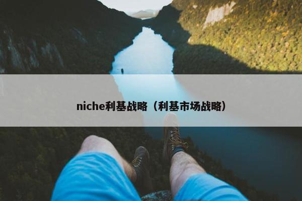 niche利基战略（利基市场战略）