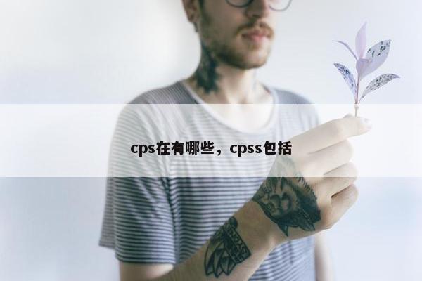 cps在有哪些，cpss包括