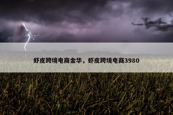 虾皮跨境电商金华，虾皮跨境电商3980