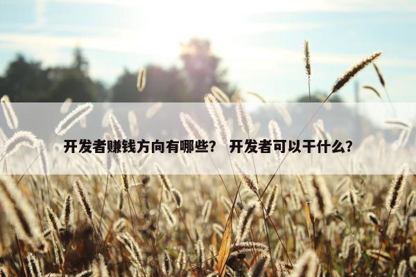 开发者赚钱方向有哪些？ 开发者可以干什么？